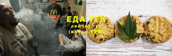 эйфоретик Инта