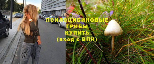 эйфоретик Инта