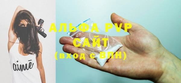 эйфоретик Инта
