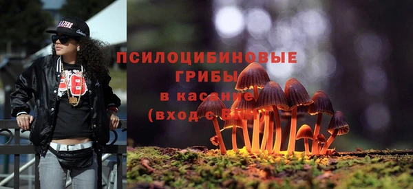 mix Инсар